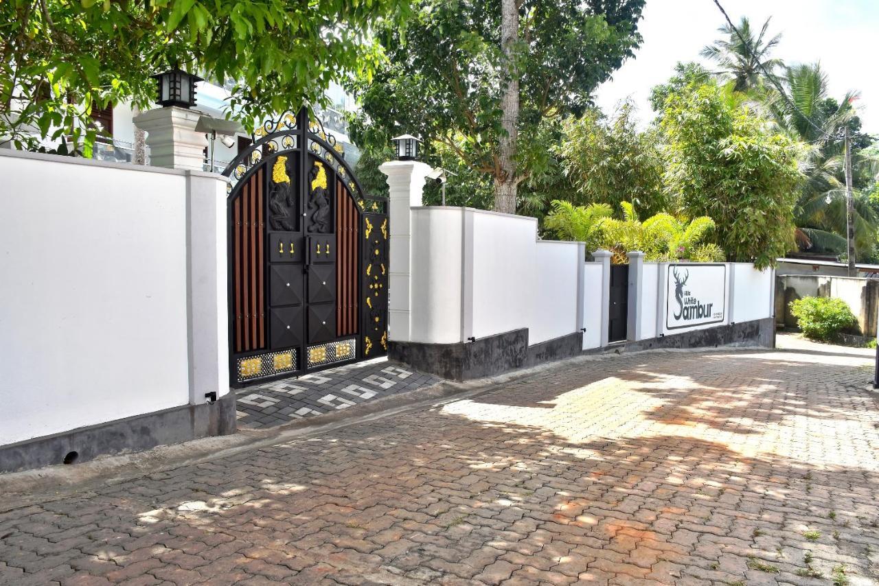 Villa De White Sambur Hikkaduwa Exterior photo